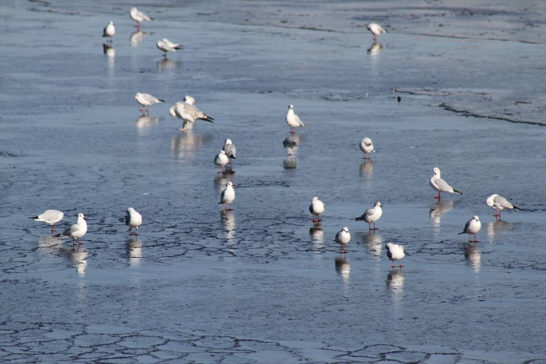 Beyşehir Gölü'nün kıyıları dondurucu soğuklardan kısmen buz tuttu 4