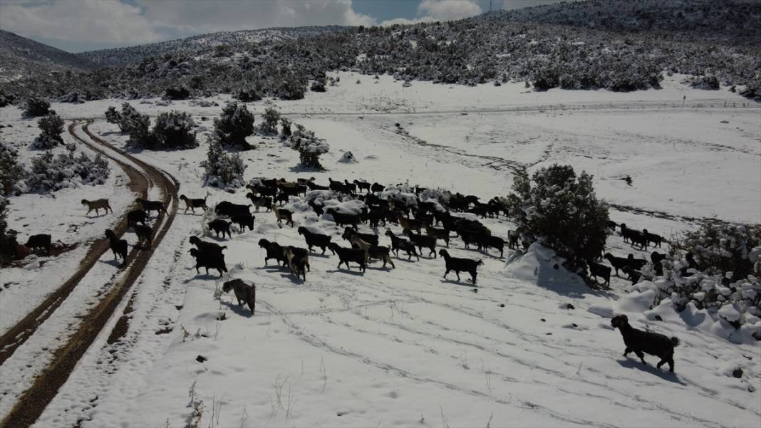 Konya'da çobanların karlı dağlardaki zorlu mesaisi fotoğraf karelerine yansıdı 1