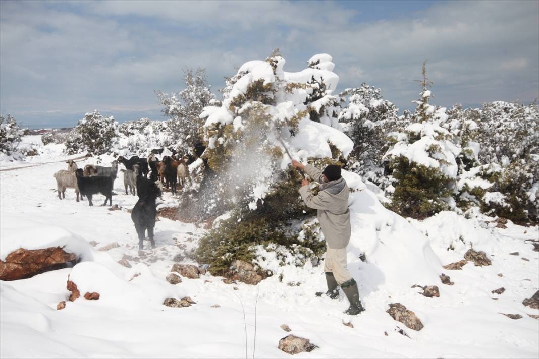 Konya'da çobanların karlı dağlardaki zorlu mesaisi fotoğraf karelerine yansıdı 11
