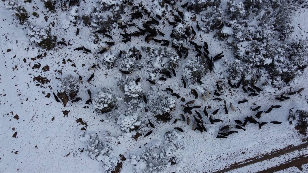 Konya'da çobanların karlı dağlardaki zorlu mesaisi fotoğraf karelerine yansıdı 2