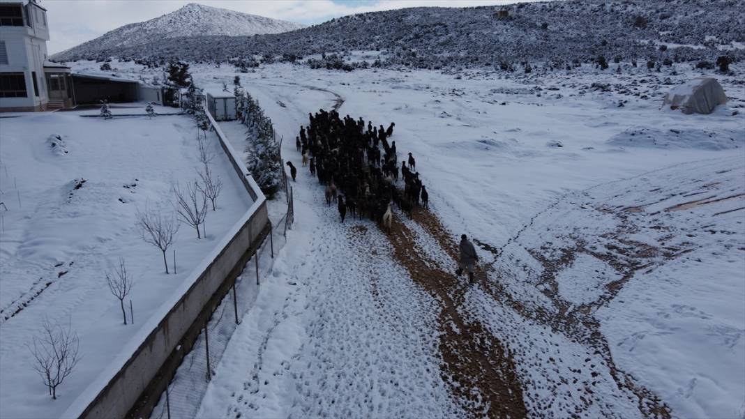 Konya'da çobanların karlı dağlardaki zorlu mesaisi fotoğraf karelerine yansıdı 5