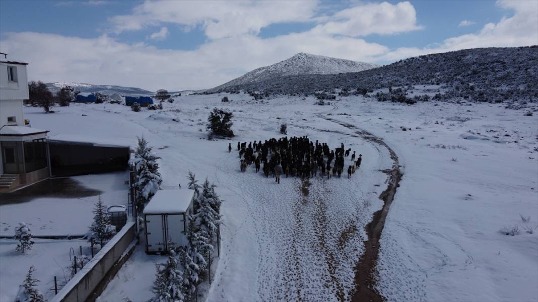 Konya'da çobanların karlı dağlardaki zorlu mesaisi fotoğraf karelerine yansıdı 6