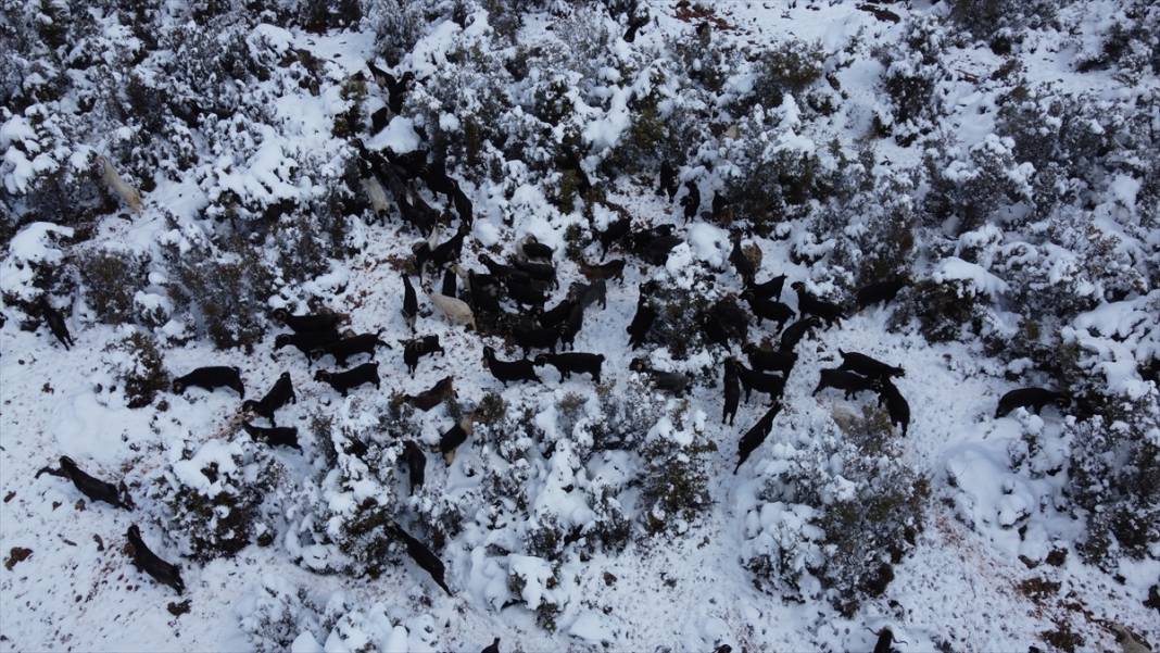 Konya'da çobanların karlı dağlardaki zorlu mesaisi fotoğraf karelerine yansıdı 9
