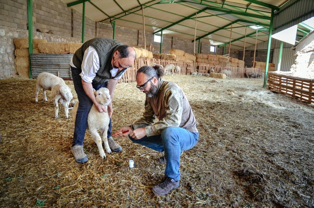 Konyalı kardeşler kariyerlerini bırakıp kurdukları çiftlikte 800 hayvanlı sürünün sahibi oldu 15