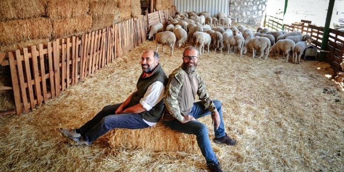 Konyalı kardeşler kariyerlerini bırakıp kurdukları çiftlikte 800 hayvanlı sürünün sahibi oldu