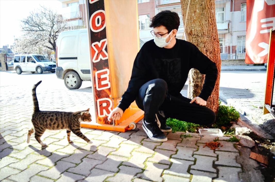 Konyalı hayvansever lise öğrencisi harçlıklarıyla sokaklardaki 'can dostları'nı besliyor 9