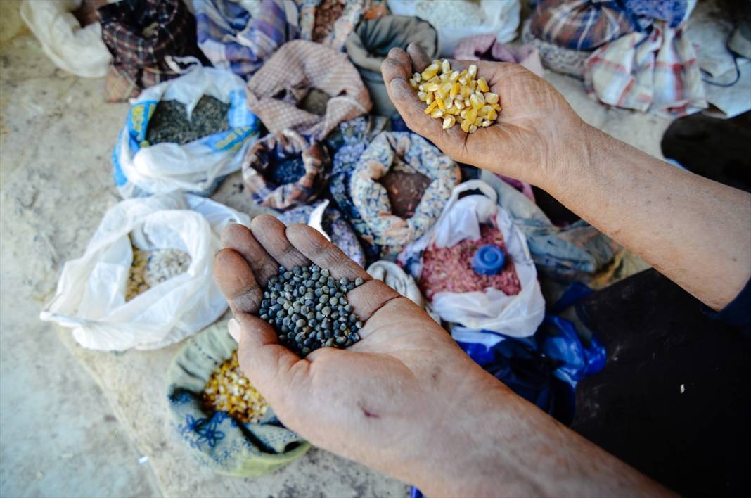 Konya'da anne ve kızları ata tohumuyla başladıkları fide üretiminde talebe yetişemiyor 10
