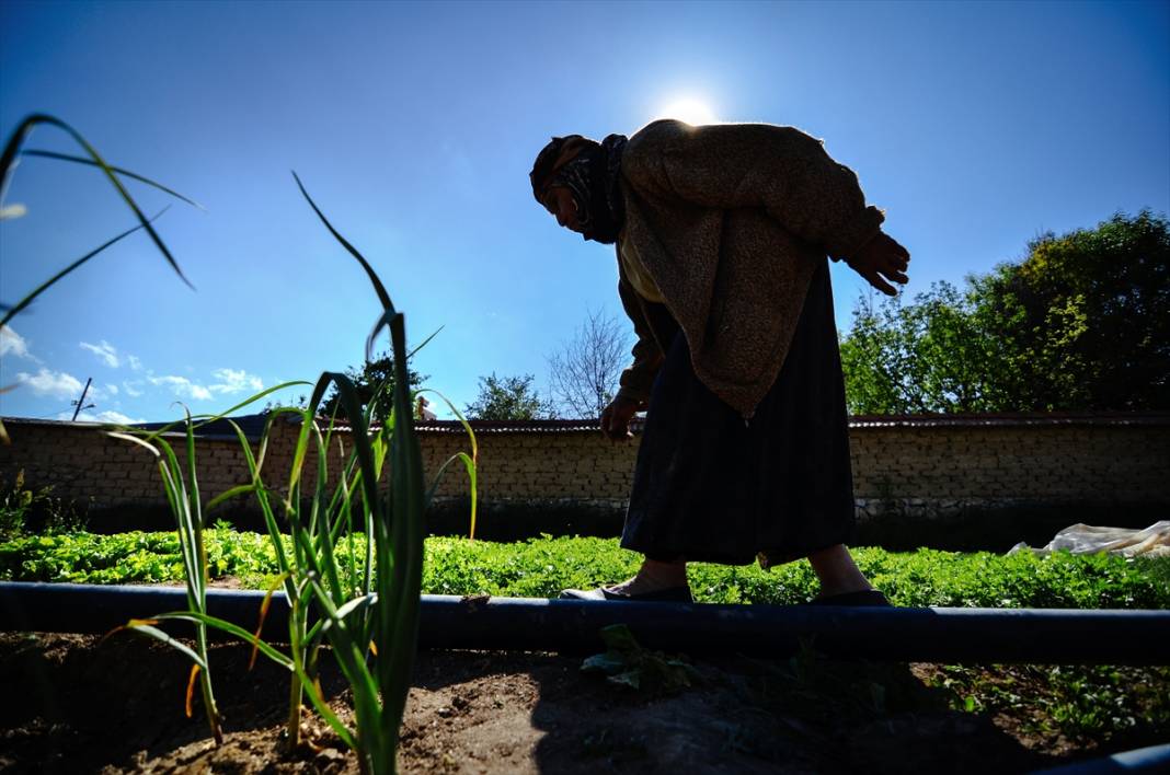 Konya'da anne ve kızları ata tohumuyla başladıkları fide üretiminde talebe yetişemiyor 14