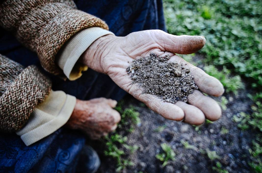 Konya'da anne ve kızları ata tohumuyla başladıkları fide üretiminde talebe yetişemiyor 7