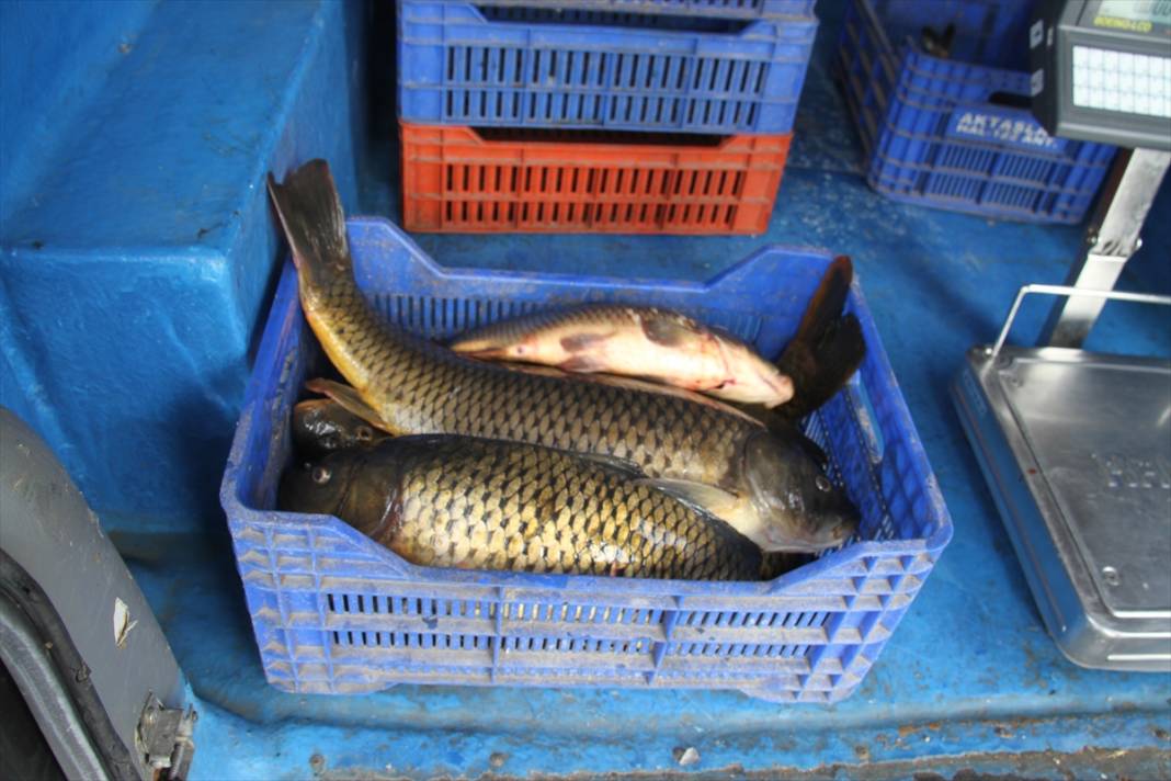 Konya'da yeni av sezonunun ilk balıkları kantarda tartıya çıktı 10