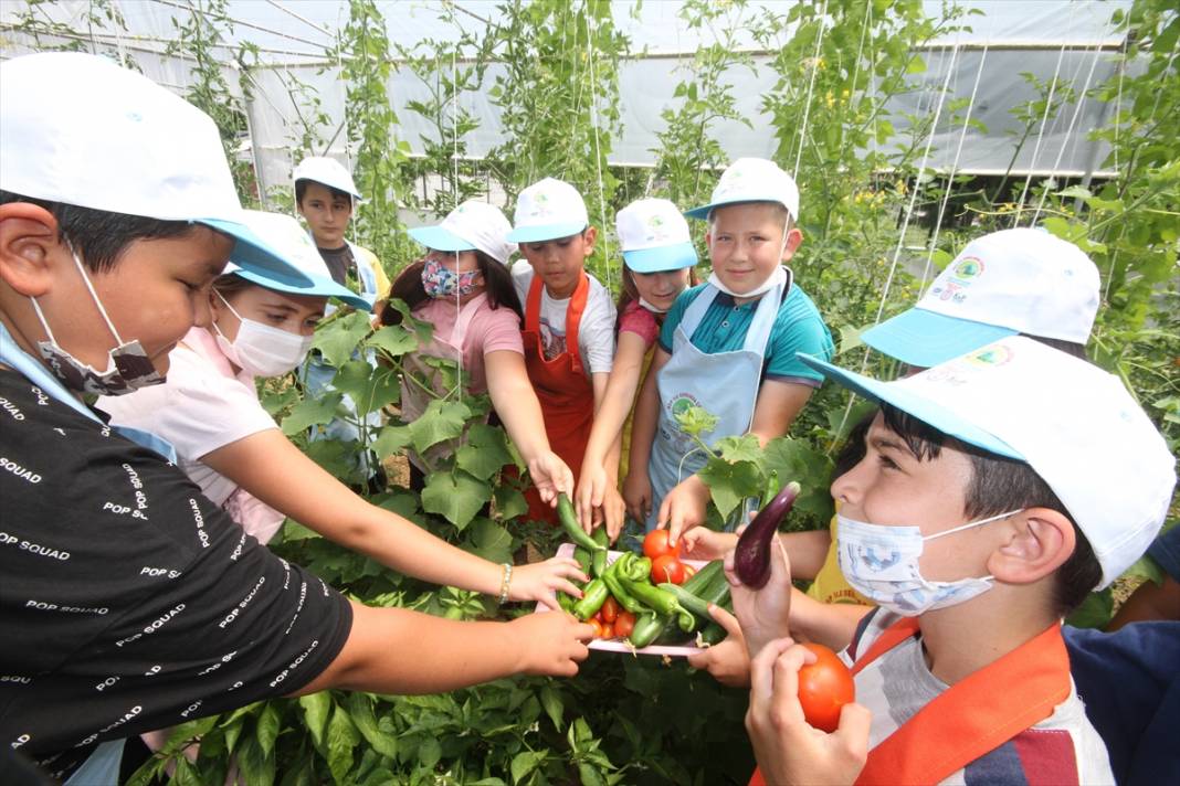 Minik eller, okul bahçesindeki serada ata tohumlarıyla tarım ürünleri yetiştiriyor 9