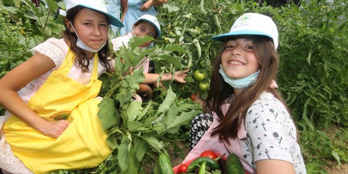 Minik eller, okul bahçesindeki serada ata tohumlarıyla tarım ürünleri yetiştiriyor