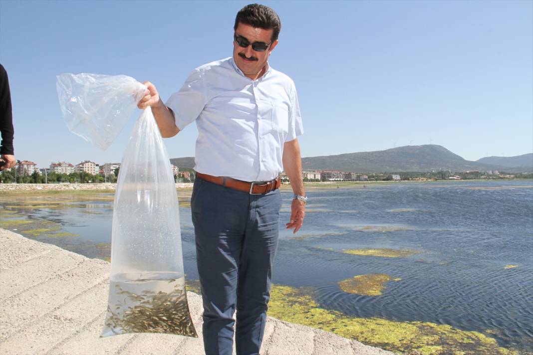 Konya'daki göl ve göletlere 1 milyon yavru sazan balığı bırakıldı 6