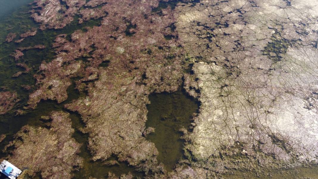 Eski halinden eser yok! Kuraklığın vurduğu Beyşehir Gölü'ndeki içler acısı durum fotoğraf karelerine yansıdı 7
