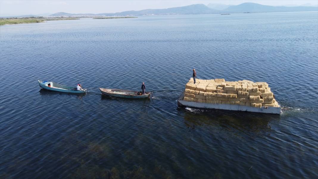 Adadaki saman balyalarını Beyşehir Gölü'nden "duba" aracılığıyla karşı kıyıya taşıyorlar 12
