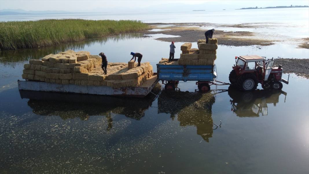 Adadaki saman balyalarını Beyşehir Gölü'nden "duba" aracılığıyla karşı kıyıya taşıyorlar 4
