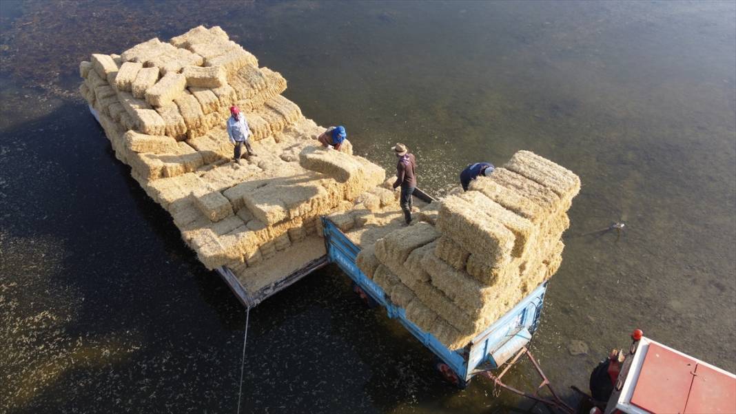 Adadaki saman balyalarını Beyşehir Gölü'nden "duba" aracılığıyla karşı kıyıya taşıyorlar 5