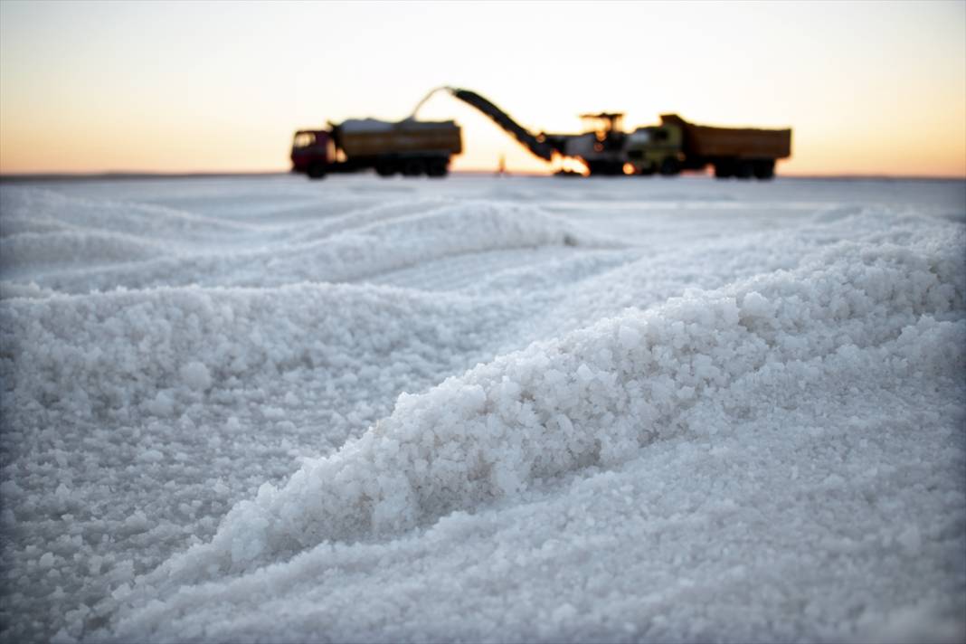 Konya'da bir paletle başladıkları tuz ihracatını 70 ülkede 200 bin palete çıkardılar 4