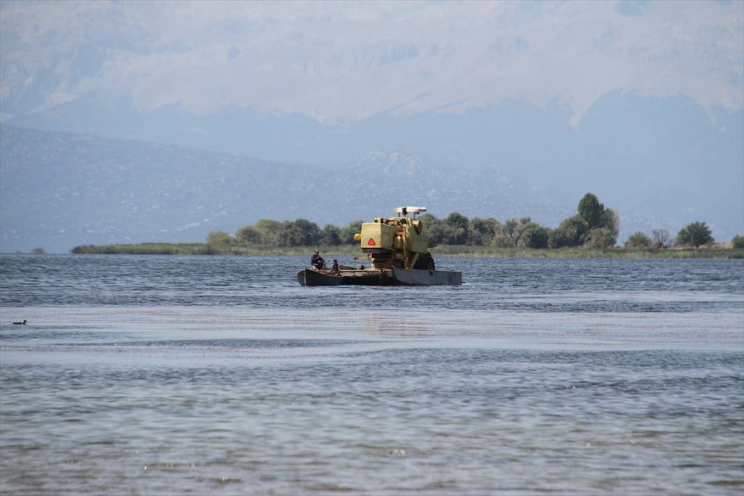 Adadaki hasadı tamamlayan biçerdöver Beyşehir Gölü'nde "yüzdürülerek" karşı kıyıya geçirildi 10