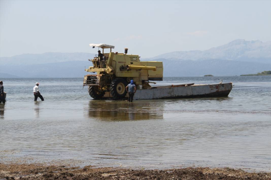 Adadaki hasadı tamamlayan biçerdöver Beyşehir Gölü'nde "yüzdürülerek" karşı kıyıya geçirildi 7