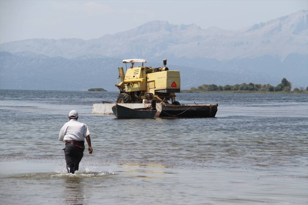 Adadaki hasadı tamamlayan biçerdöver Beyşehir Gölü'nde "yüzdürülerek" karşı kıyıya geçirildi 9