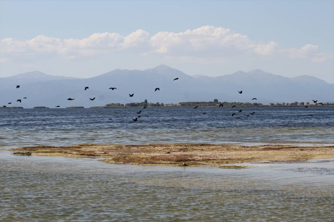 Beyşehir Gölü'nde su seviyesinin düşmesiyle adacıklar ortaya çıktı 19