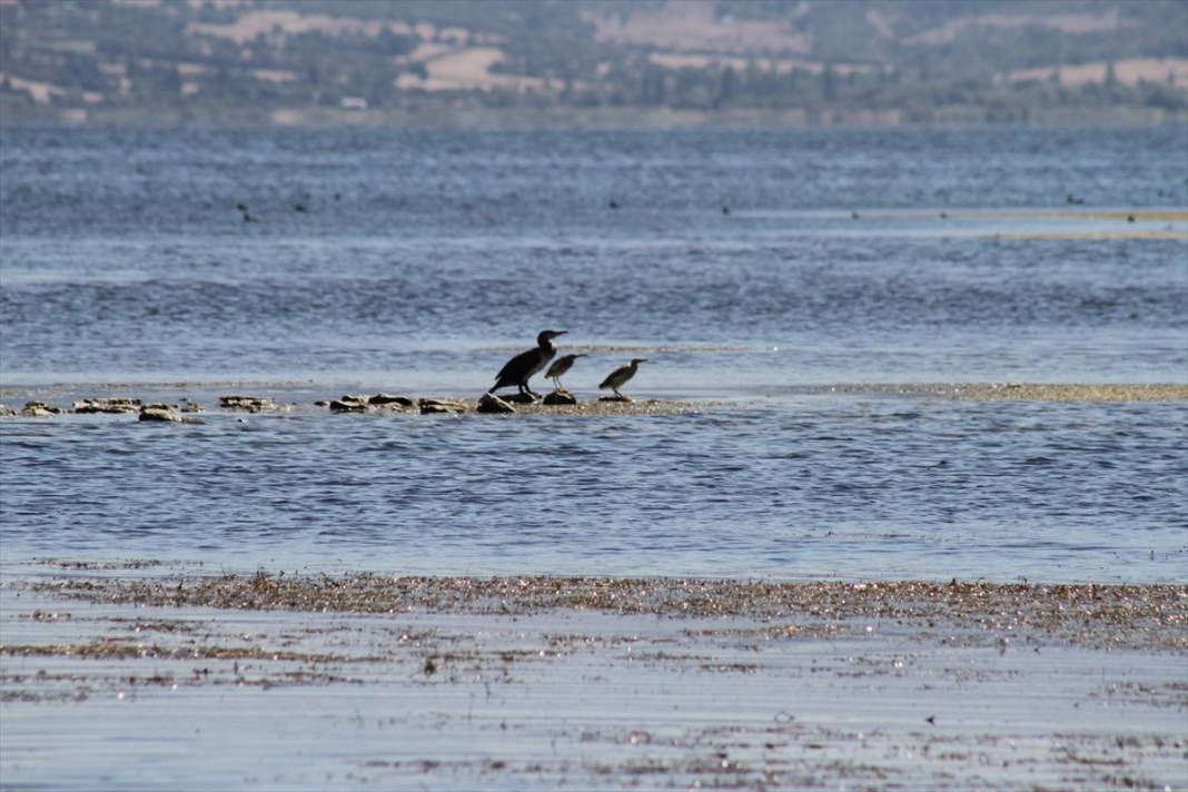 Beyşehir Gölü'nde su seviyesinin düşmesiyle adacıklar ortaya çıktı 3