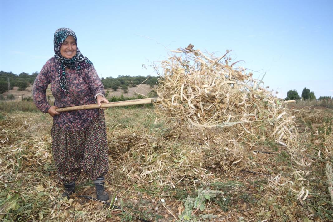 Konya'nın coğrafi işaretli ürünü Çetmi fasulyesi üreticisinin yüzünü güldürdü 13