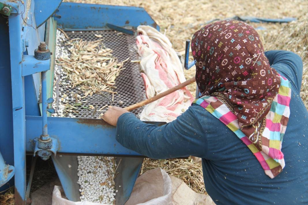 Konya'nın coğrafi işaretli ürünü Çetmi fasulyesi üreticisinin yüzünü güldürdü 8