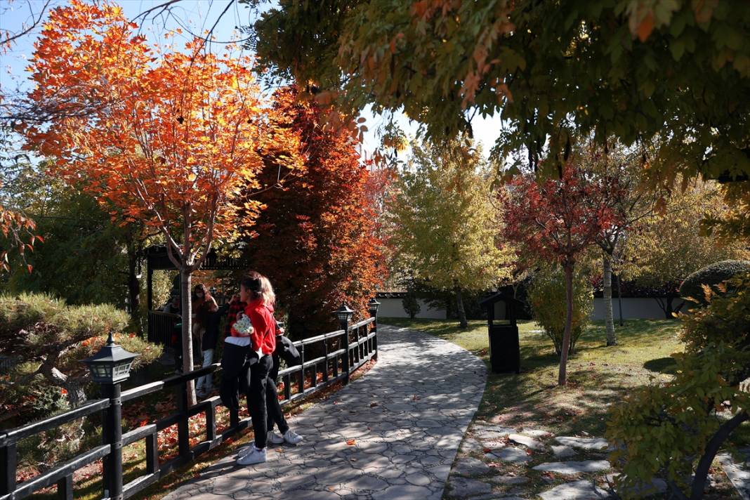 Konya'daki parkta büyüleyen sonbahar renkleri 12