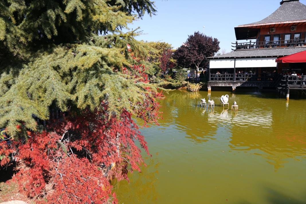 Konya'daki parkta büyüleyen sonbahar renkleri 13