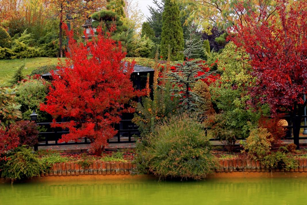 Konya'daki parkta büyüleyen sonbahar renkleri 6