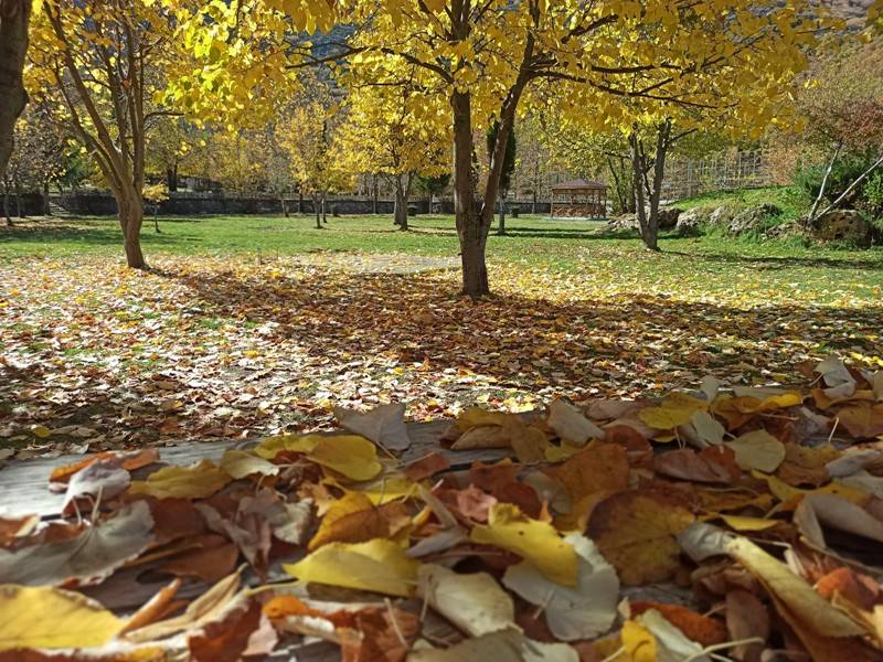 Konya’da sonbahar güzelliği 1