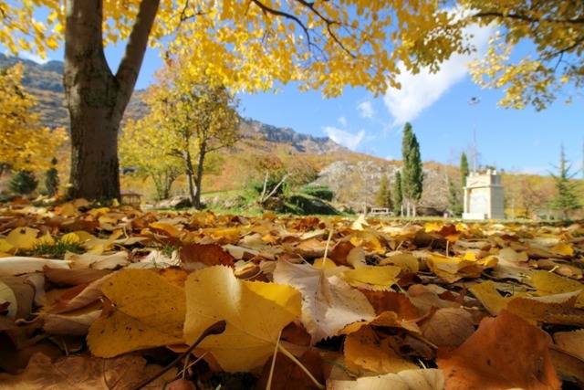 Konya’da sonbahar güzelliği 14