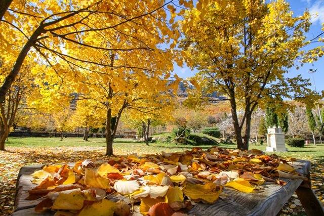 Konya’da sonbahar güzelliği 16