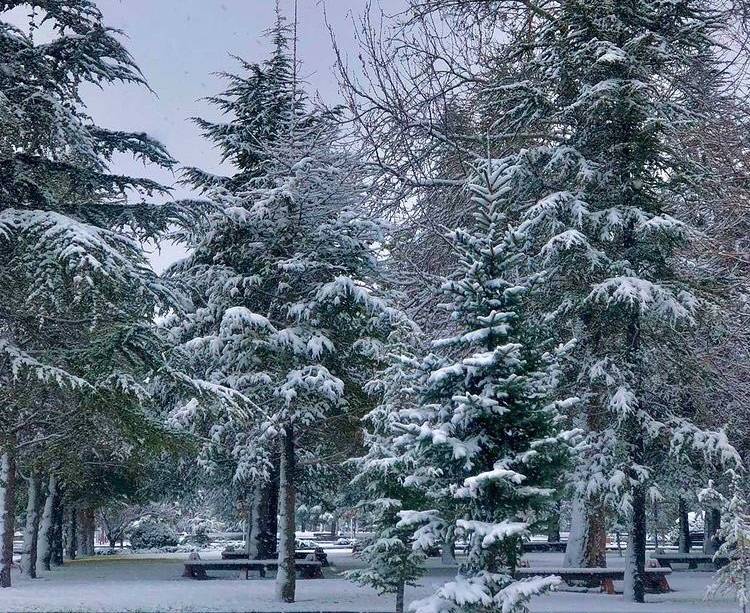 Konya'da kar yağışının güzelliği fotoğraf karelerine yansıdı 17