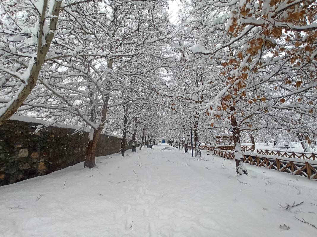 Konya Kuğulu Park'tan büyüleyen kar güzelliği 10