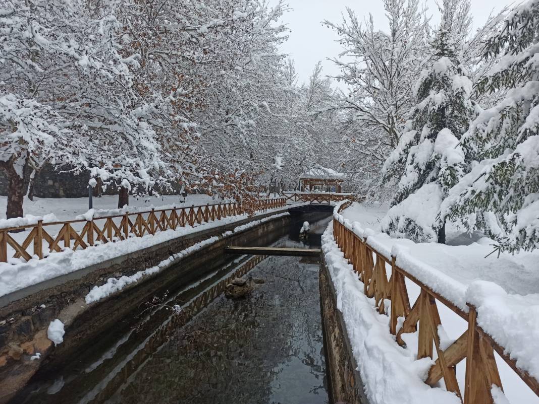 Konya Kuğulu Park'tan büyüleyen kar güzelliği 11