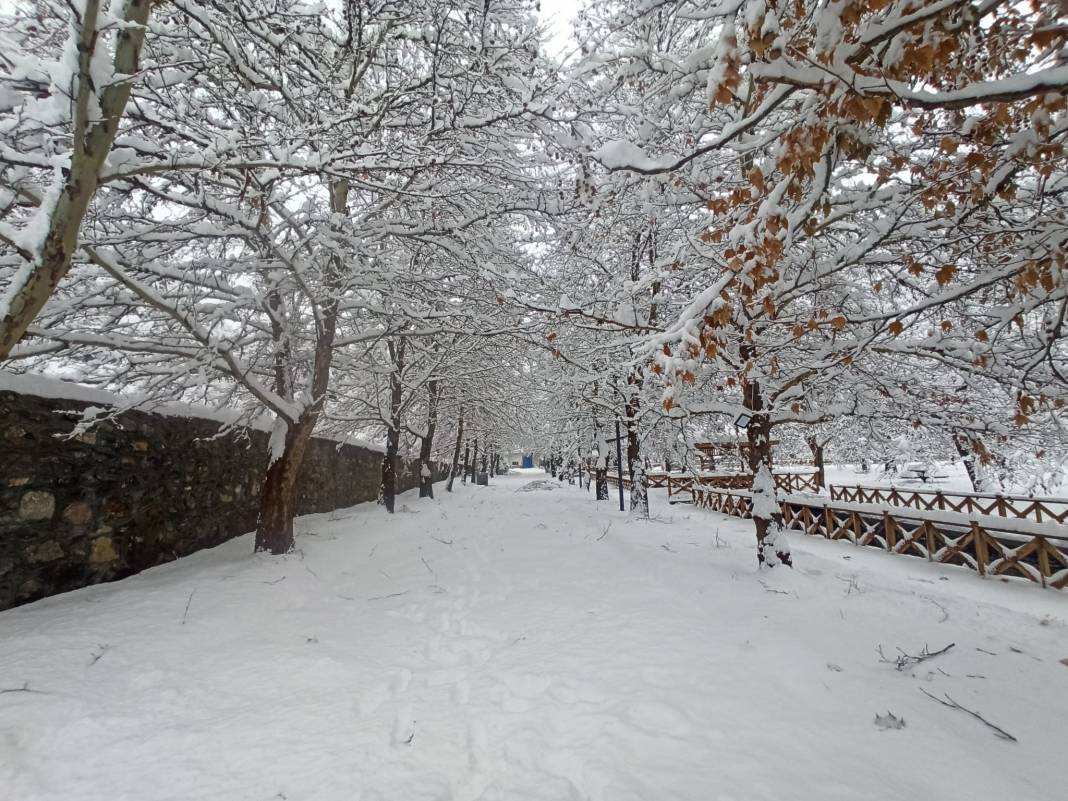 Konya Kuğulu Park'tan büyüleyen kar güzelliği 13