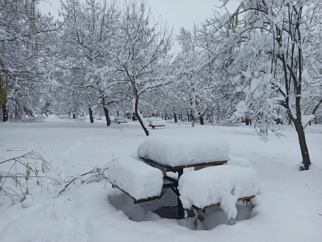 Konya Kuğulu Park'tan büyüleyen kar güzelliği 14