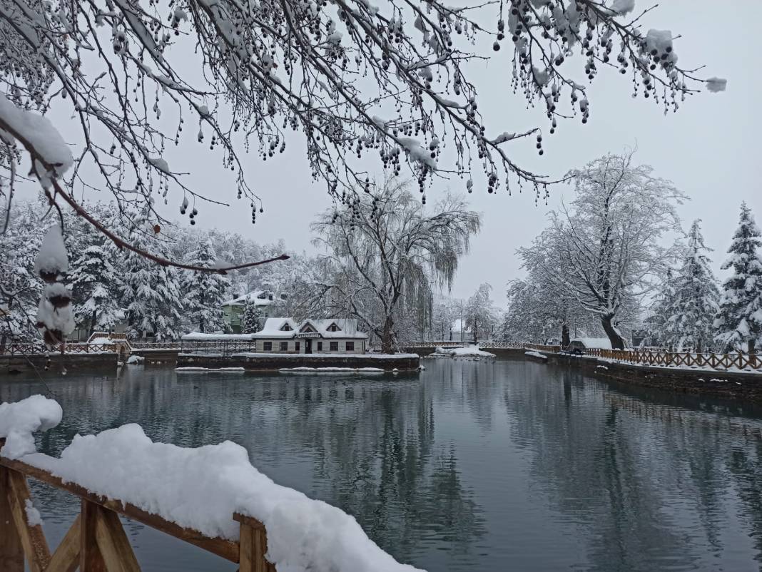 Konya Kuğulu Park'tan büyüleyen kar güzelliği 15