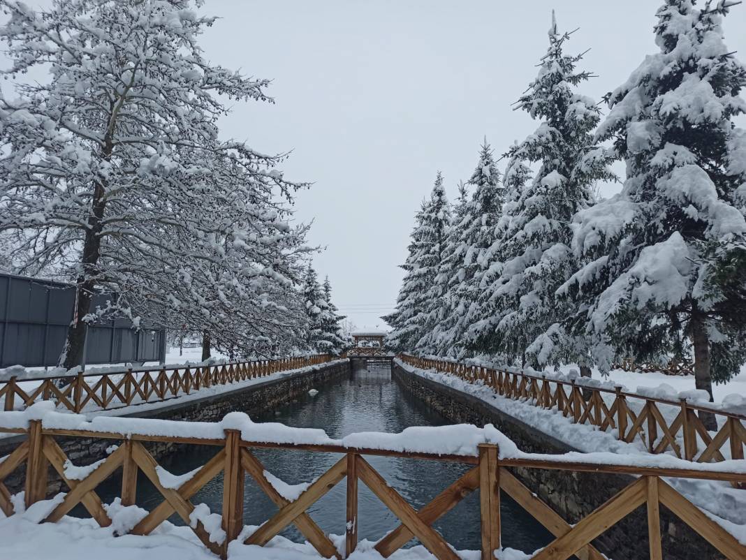 Konya Kuğulu Park'tan büyüleyen kar güzelliği 17