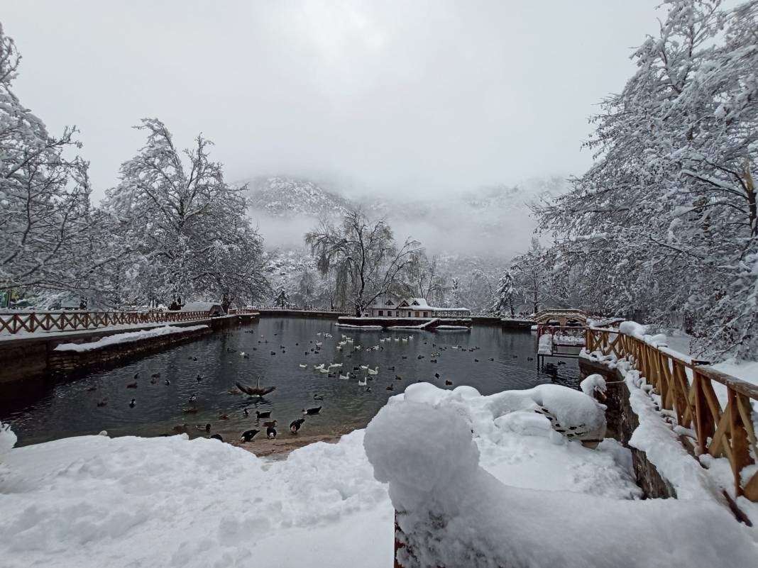 Konya Kuğulu Park'tan büyüleyen kar güzelliği 18