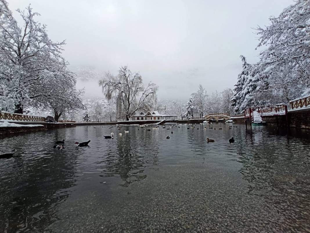 Konya Kuğulu Park'tan büyüleyen kar güzelliği 19