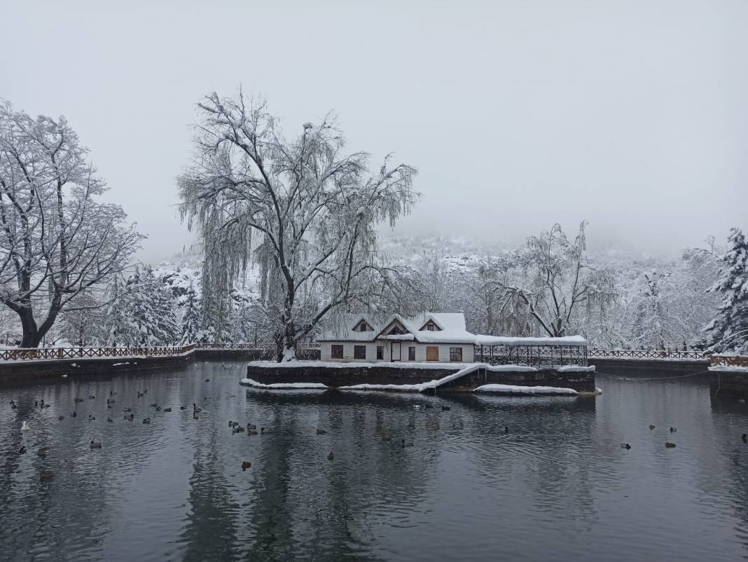 Konya Kuğulu Park'tan büyüleyen kar güzelliği 3