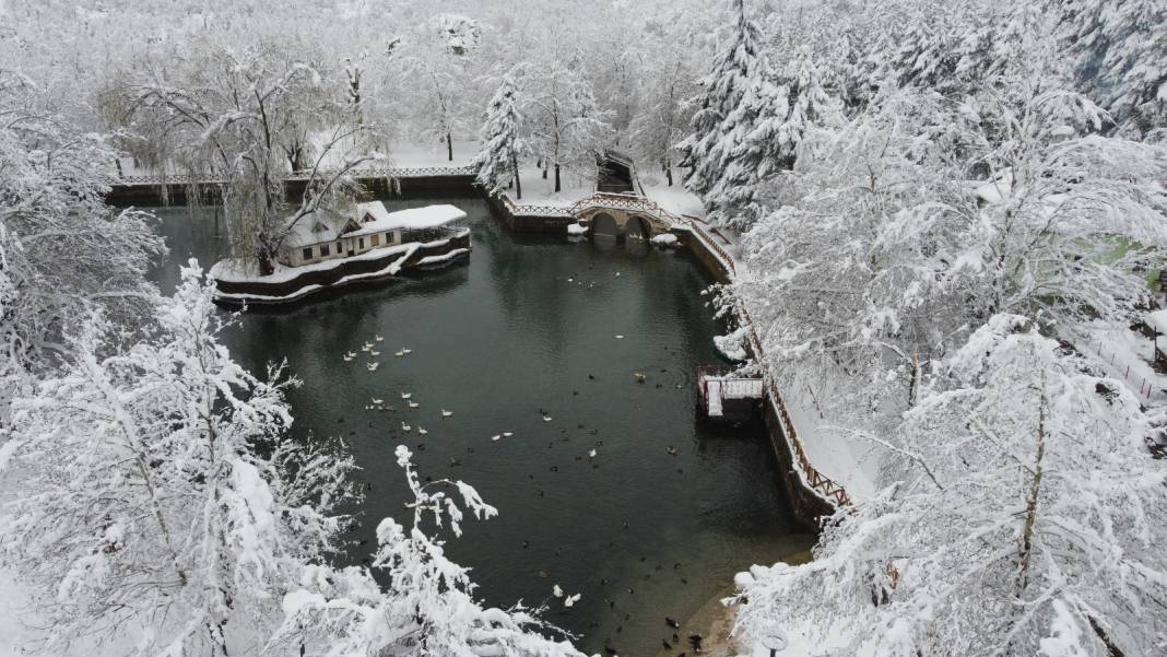 Konya Kuğulu Park'tan büyüleyen kar güzelliği 5