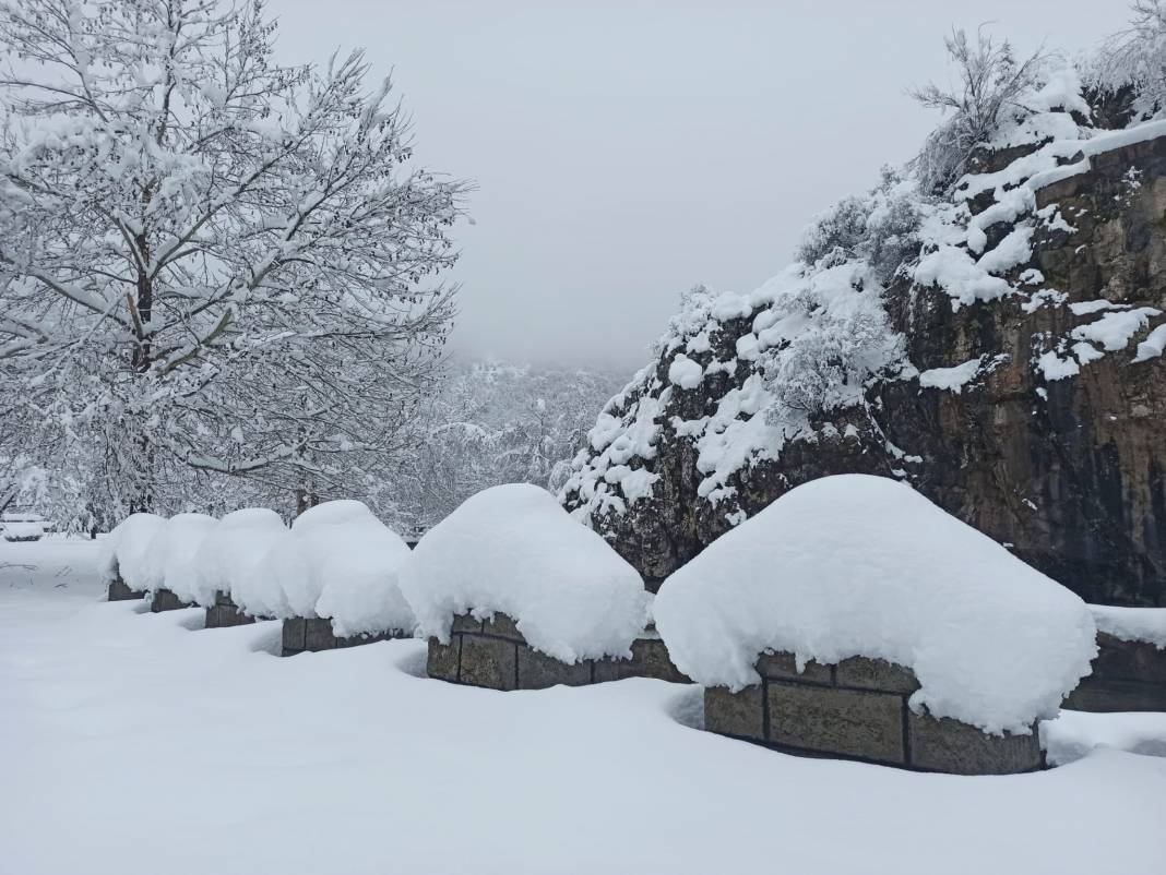 Konya Kuğulu Park'tan büyüleyen kar güzelliği 6
