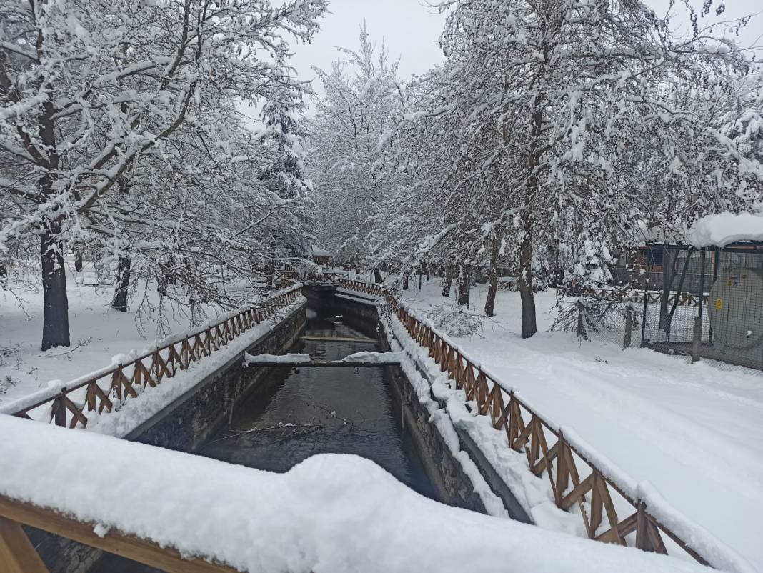 Konya Kuğulu Park'tan büyüleyen kar güzelliği 7