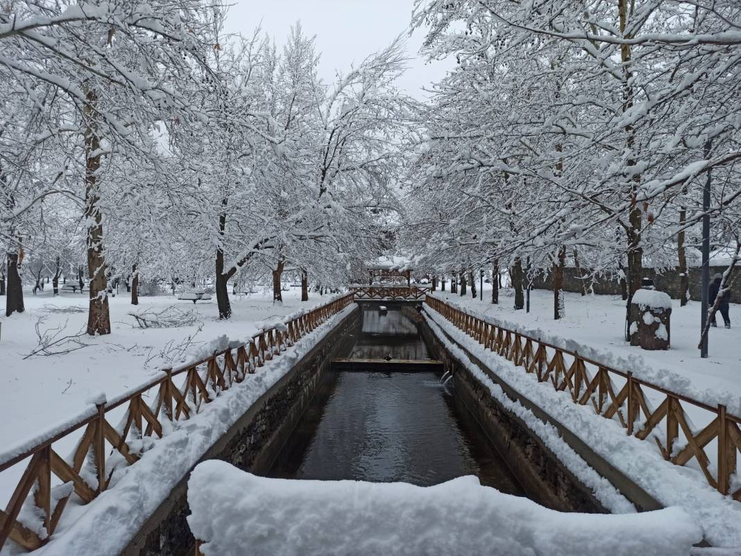 Konya Kuğulu Park'tan büyüleyen kar güzelliği 9