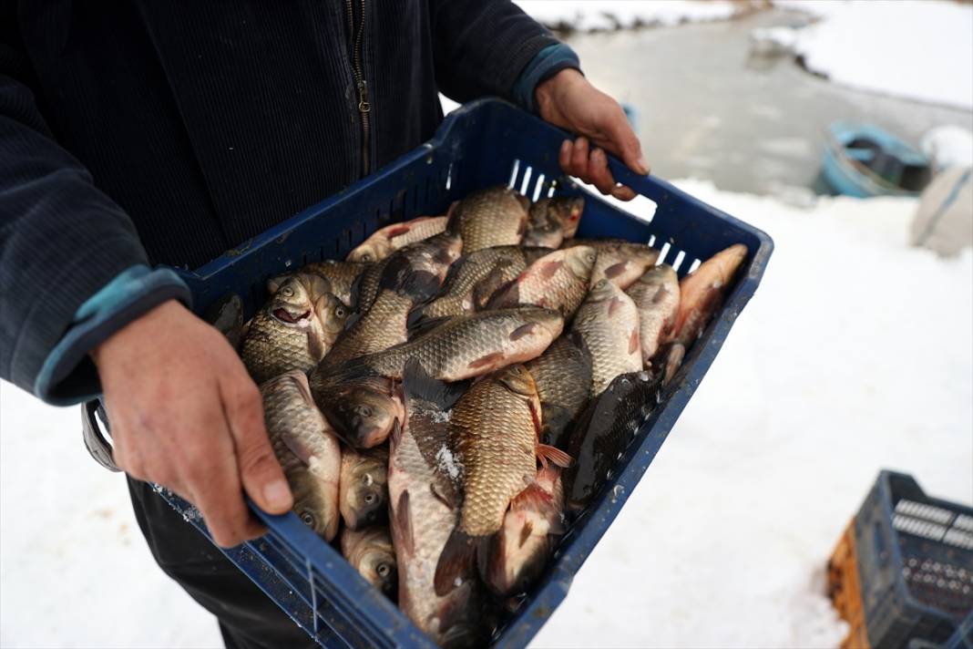 Beyşehir Gölü'nde tatlı su balıkçıları dondurucu soğukta buzları kırarak avlanıyor 5